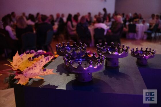 Ogrē godinātas komandas par izcilu kopdarbu izglītībā